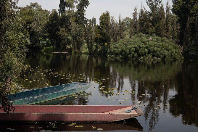 Mexico City Layover Tour Art, Culture and Color - An In-Depth Look at the Tour Experience