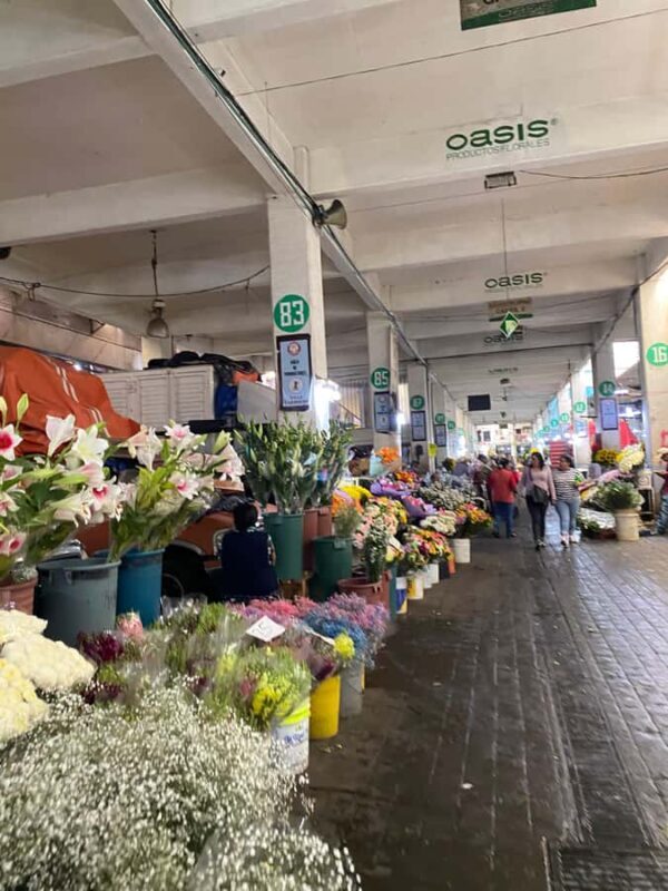 Mexico City: Markets Tour - Key Points