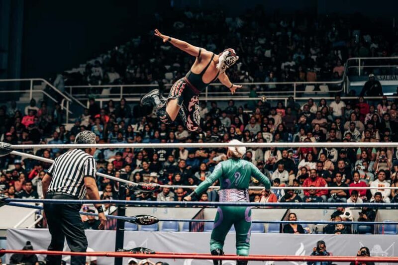 Mexico City: Mexican evening, lucha libre, and tequila - Who Will Enjoy This Tour?