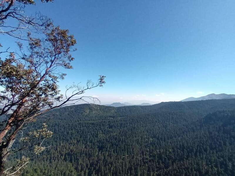 Mexico City: Morning Hiking at Mirador Coconetla - Key Points