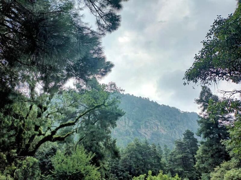 Mexico City: Morning Hiking at Mirador Coconetla - Who Should Consider This Tour