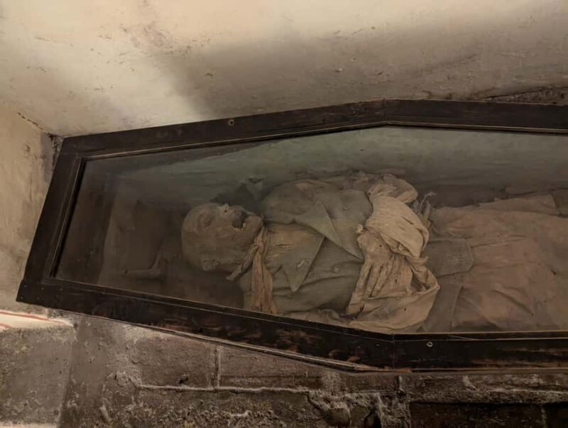 Mexico City: Museum of El Carmen Tour with Ticket - Key Points