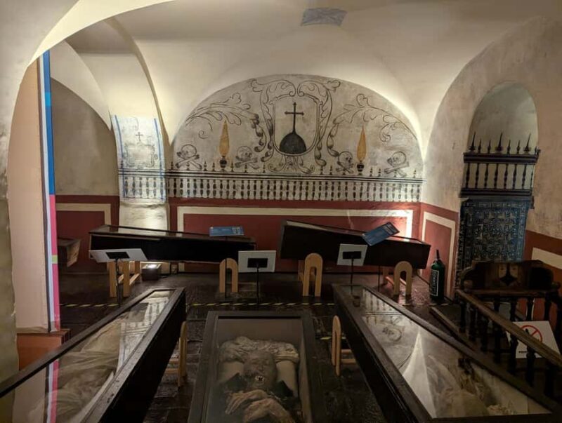 Mexico City: Museum of El Carmen Tour with Ticket - The Experience in Detail