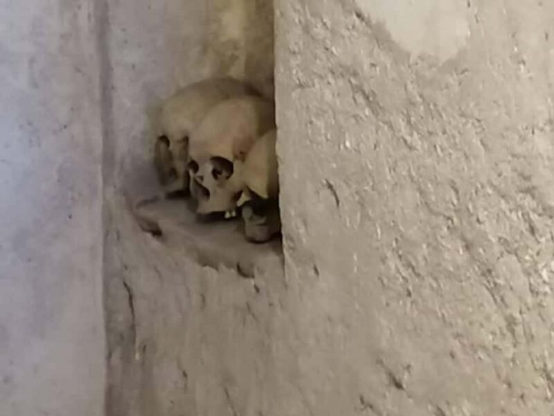 Mexico City: Museum of El Carmen Tour with Ticket - Who Is This Tour Best For?