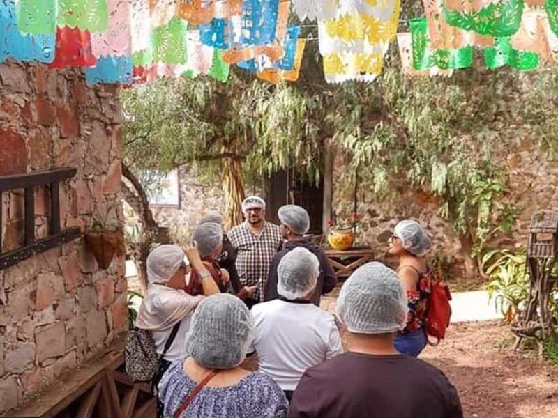 Mexico City: Private Cheese and Wine Tour to Queretaro - An Overview of the Tour Experience