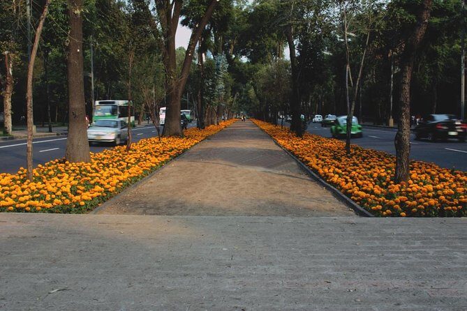 Mexico City PRIVATE Lucha Libre, mezcal & Tacos on a 1975 VW Bus - Key Points