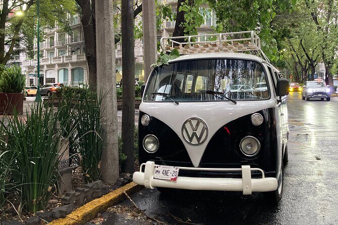 Mexico City PRIVATE Lucha Libre, mezcal & Tacos on a 1975 VW Bus - A Complete Look at the Experience