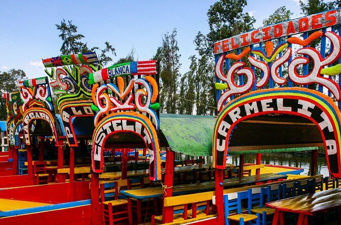 Mexico City Private Street Art Walking Tour With A guide - Who Would This Tour Suit?