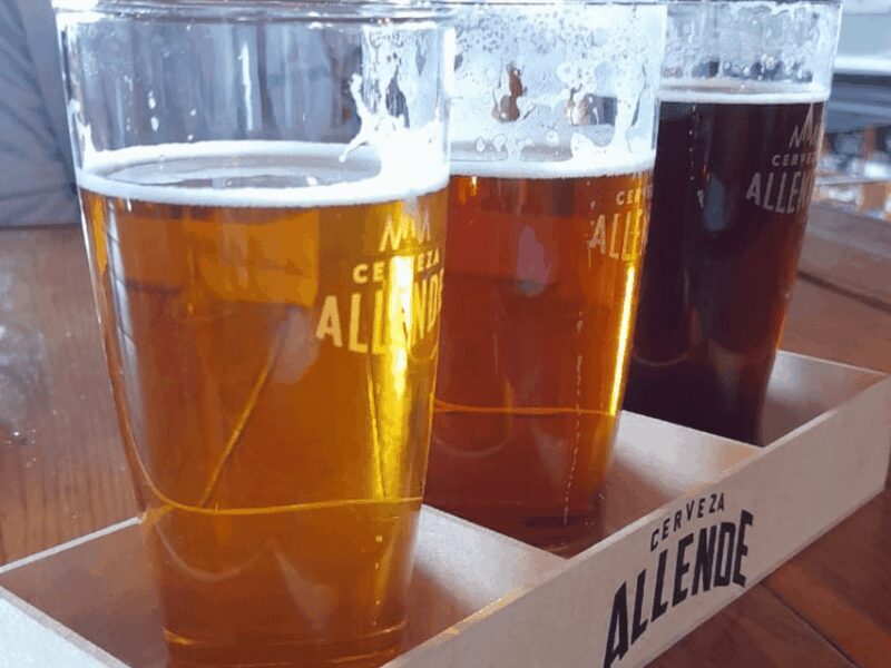 Mexico City: San Ángel Magical Mexican Food Tour - The Role of the Guides