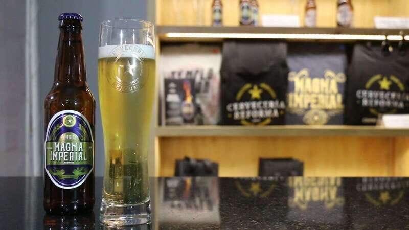 Mexico City Tasting Tour and Craft Beer Experience - FAQ