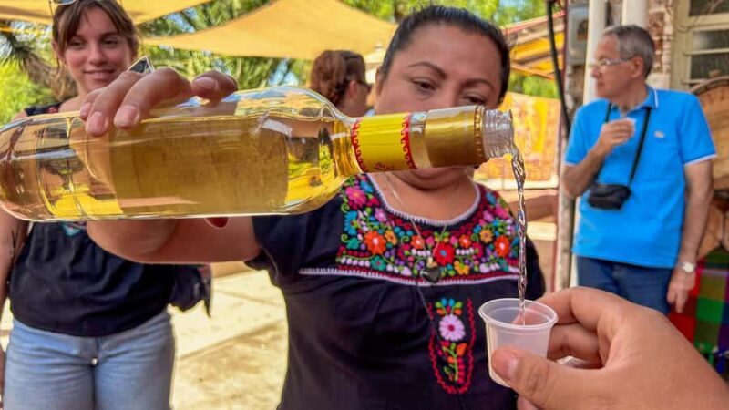 Mexico City: Teotihuacan, Tlatelolco & Guadalupe Shrine Tour - Logistic Details and Overall Experience