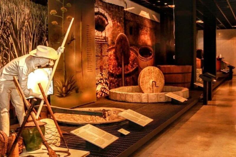 Mexico City: Tequila and Mezcal Museum Ticket with Tastings - An Overview of What to Expect