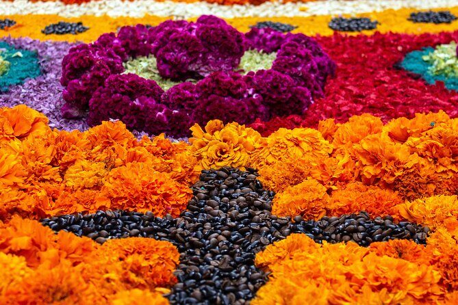 Mexico City to Guanajuato - Private transfer, 2 Sightseeing hours, local driver - What to Expect from the Mexico City to Guanajuato Transfer