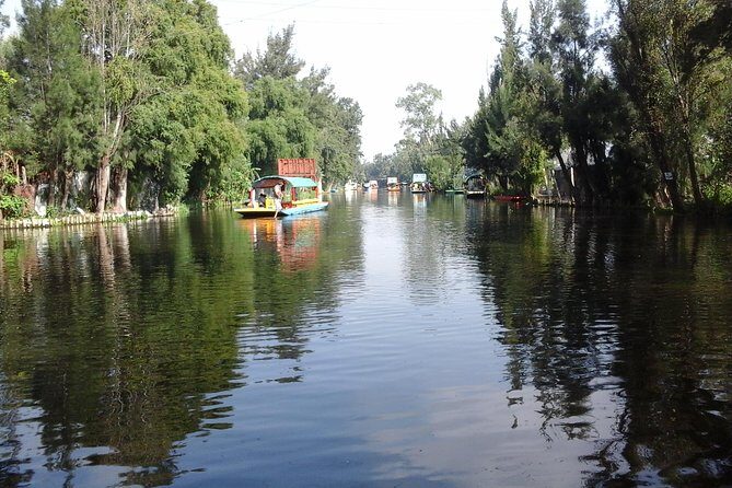 Mexico City Tour And Xochimilco - Frequently Asked Questions