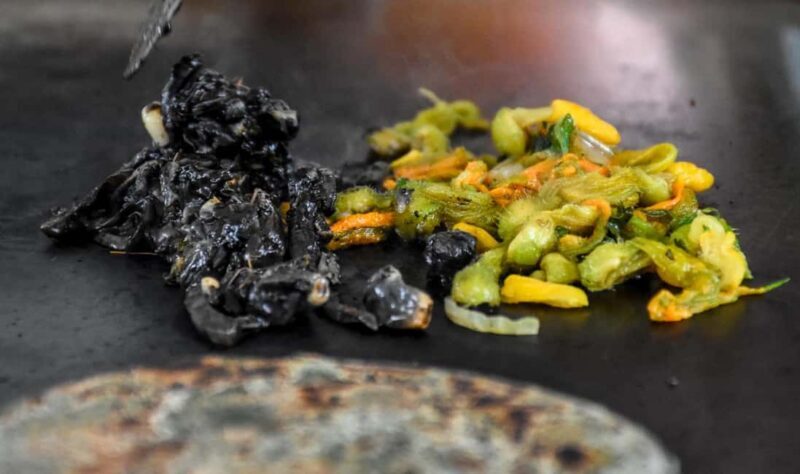 Mexico City: Vegan and Vegetarian Street Food Adventure - Final Thoughts