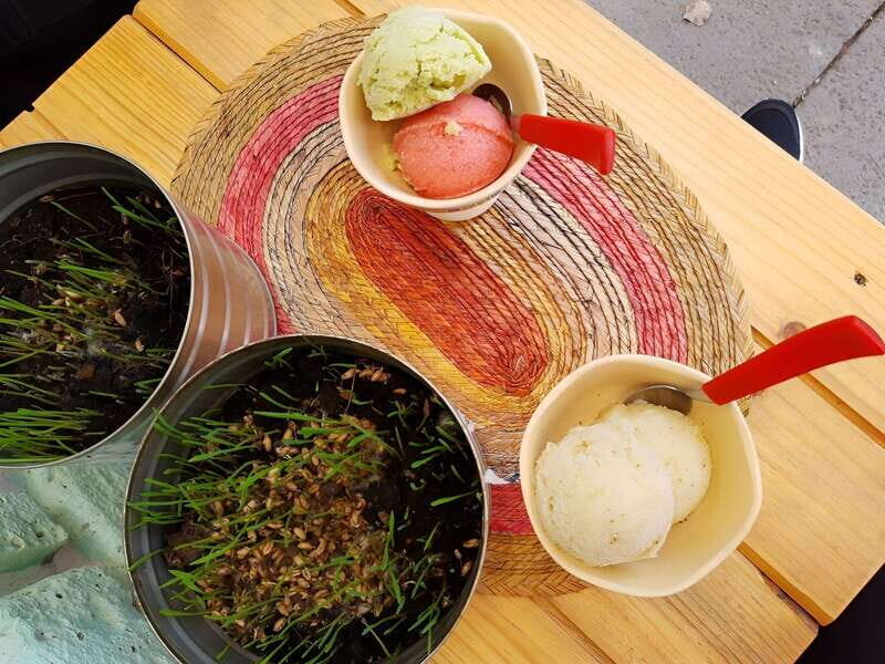 Mexico City Vegan Food Tour: Journey in Roma and Condesa - Final Thoughts