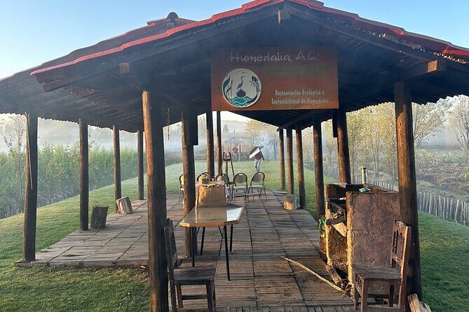 Mexico City: Xochimilco at sunrise + Breakfast and transportation - Who Should Book This Tour?