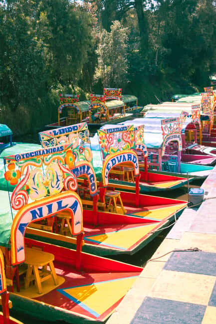Mexico City: Xochimilco Boat with Guacamole & Premium Drinks - Optional Add-Ons and Customizations