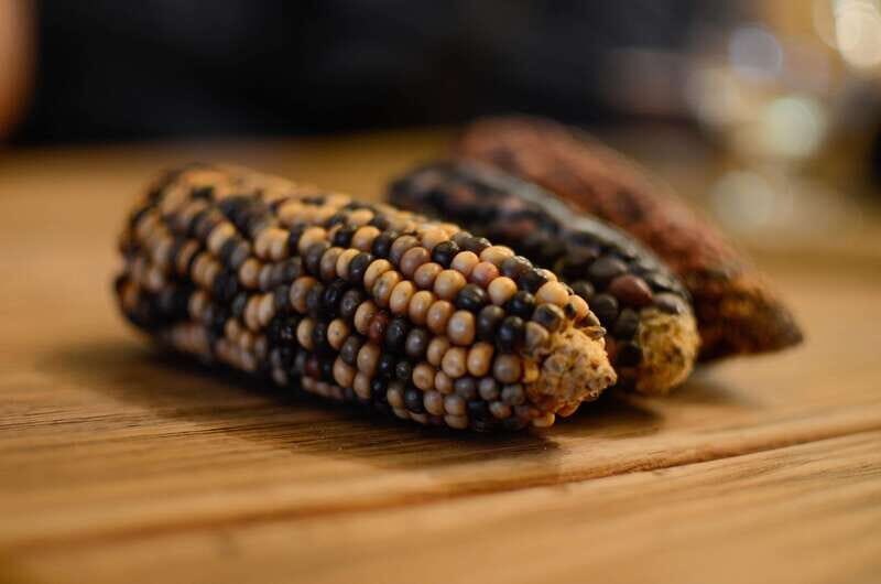 Mexico City: Zocalo Tacos Tour by Michelin-Star Chef Torres - Accessibility and Considerations