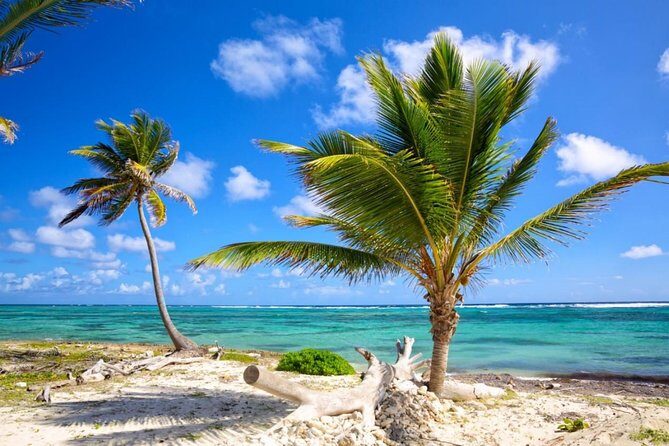 Mexico Private Transfer from Marina Vallarta to Puerto Vallarta (PVR) Airport - Value for Money