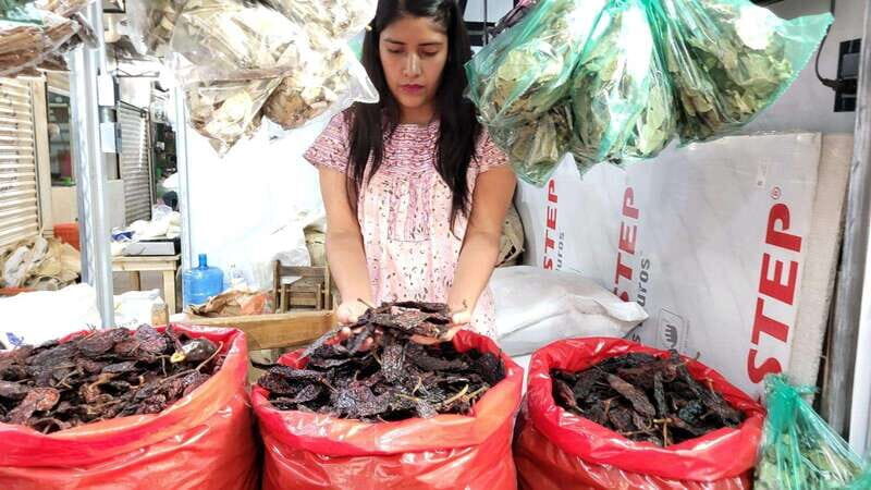 Mexico: Salsa Making Class in a Market with a Chef - The Tasting Experience