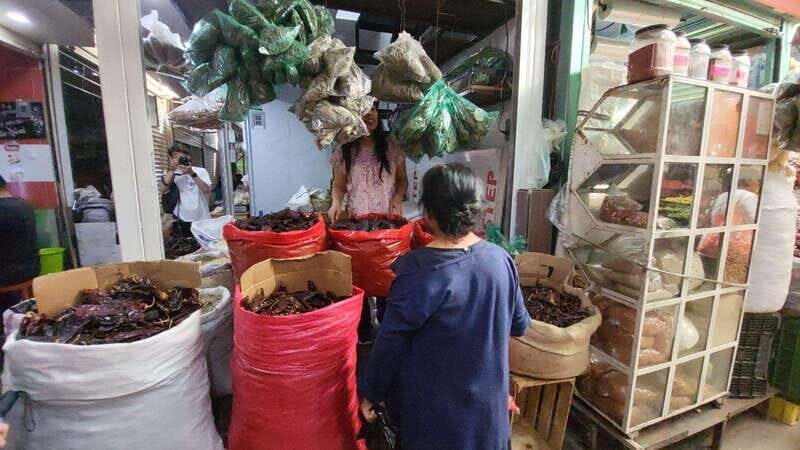 Mexico: Salsa Making Class in a Market with a Chef - What’s Included and What’s Not