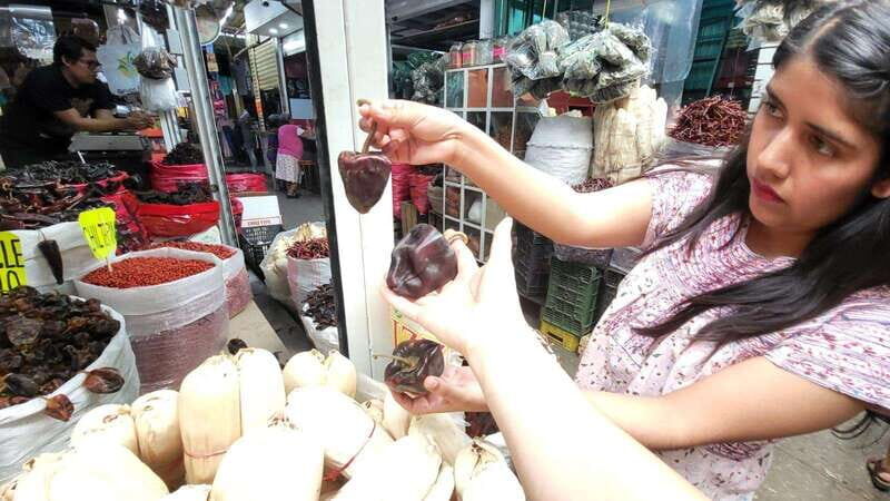 Mexico: Salsa Making Class in a Market with a Chef - The Worth of the Experience