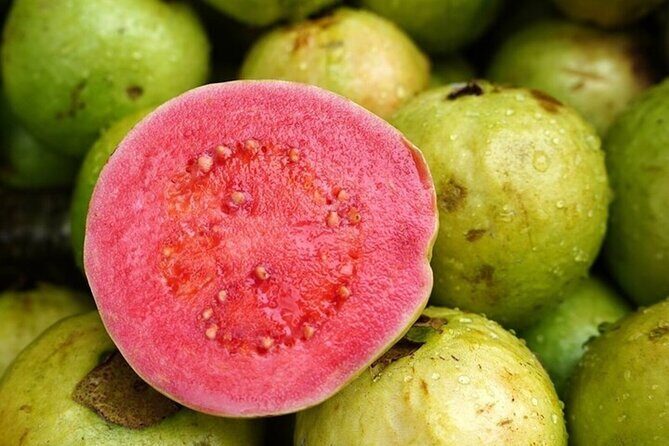 Mexico's Tropical Fruit Guided Tasting in Monterrey - Group Size, Duration, and Accessibility