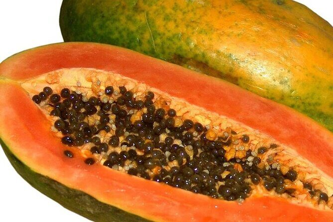 Mexico's Tropical Fruit Guided Tasting in Monterrey - Who Should Consider This Tour?