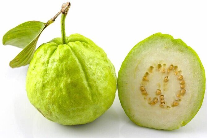 Mexico's Tropical Fruit Guided Tasting in Monterrey - The Sum Up