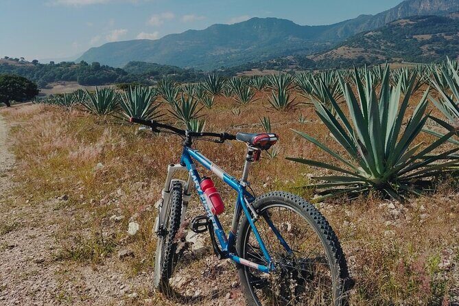 Mezcal Culture Cycling Tour in a Zapotec Village - Transportation, Timing, and Practical Details