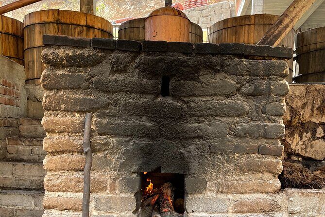 Mezcal Day Experience - Who Will Love This Tour?