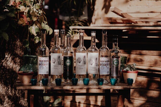 Mezcal & Mole by a Certified Sommelier - Key Points