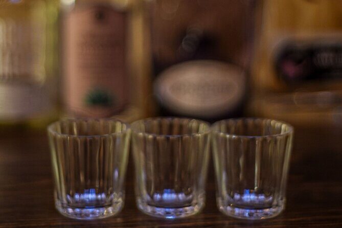 Mezcal Tasting -Masterclass + Blind tasting- - Final Thoughts: Who Will Love This?