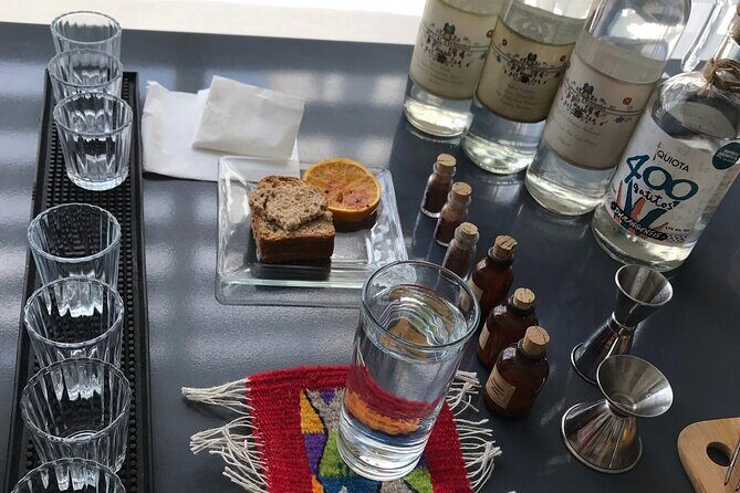 Mezcal & Tequila Tasting at Mexico City with full dinner - Final Thoughts: Is This Tour Right for You?