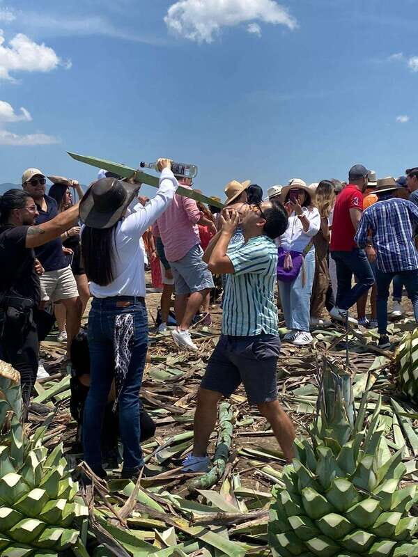 Mezcal Tour Oaxaca - Who Should Consider This Tour?