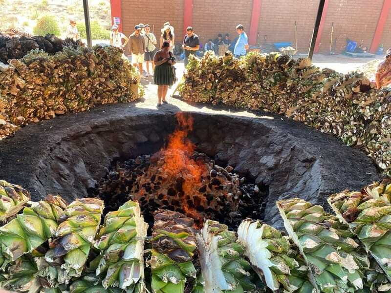 Mezcal Tour Oaxaca - FAQ