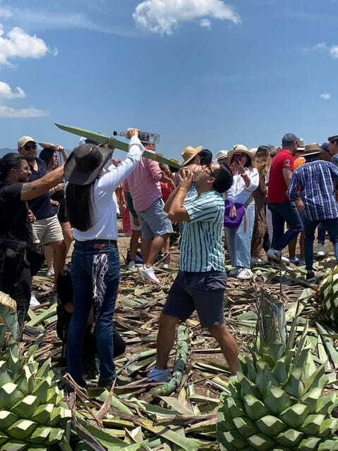 Mezcal Tour Oaxaca - The Sum Up