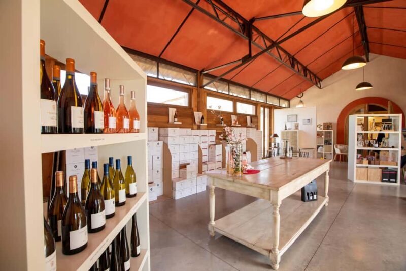 Mèze: Domaine Saint André Vineyard Guided Tour with Tasting - How the Tour is Structured
