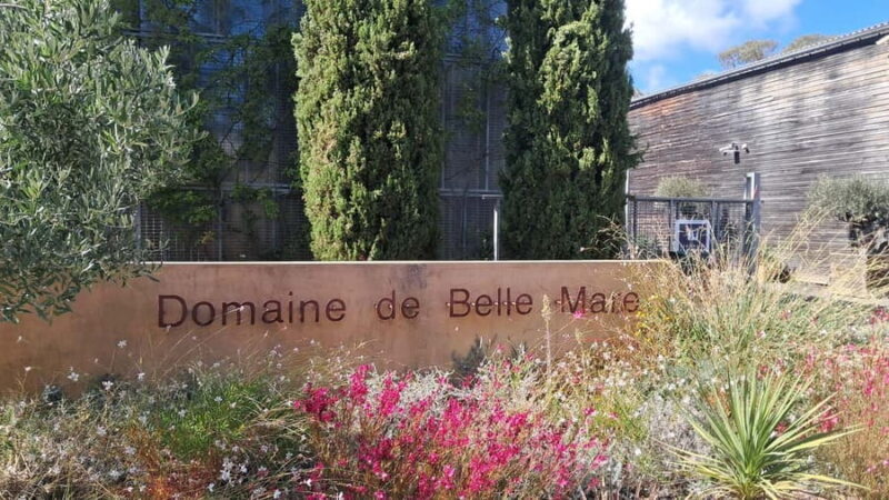 Mèze: Guided Tour of the Estate & Wine Tasting - A Closer Look at the Experience