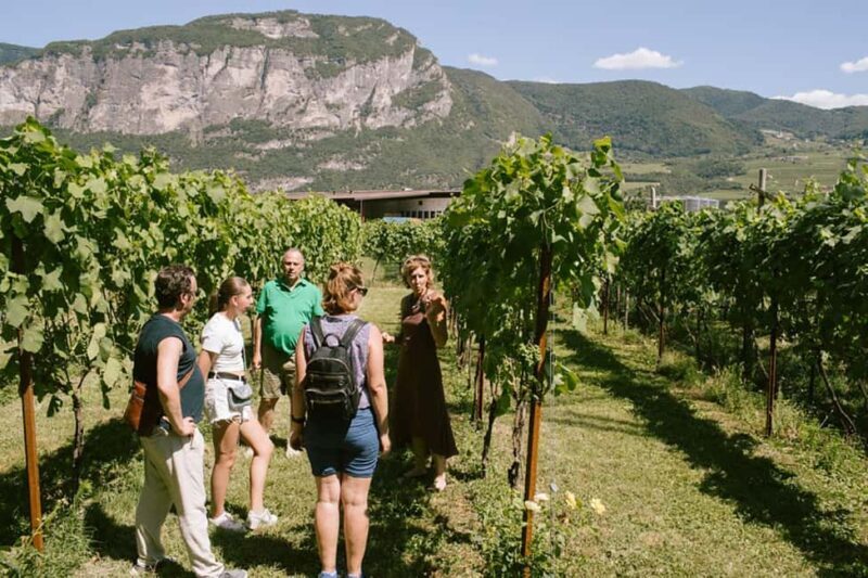 Mezzocorona: Teroldego Vineyard Tour and Wine Tasting - FAQ