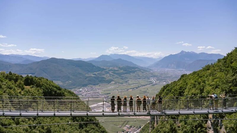 Mezzocorona: vineyard Tour on Mount and tasting of 3 wines - Key Points