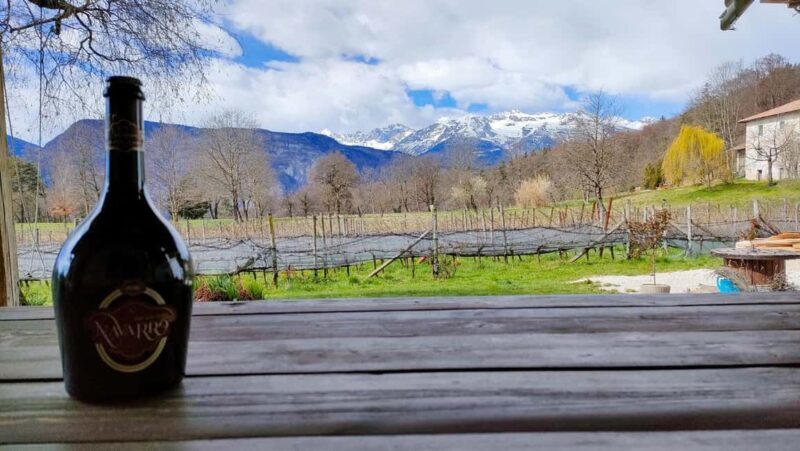 Mezzocorona: vineyard Tour on Mount and tasting of 3 wines - Who Should Consider This Tour?