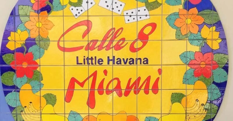 Miami and Miami Beach Private Sightseeing Tour - Who’s This Tour Best For?