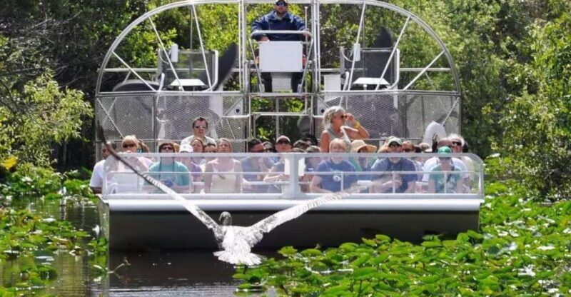 Miami Beach: Everglades Airboat Tours and Rides - Who Is This Tour Best For?