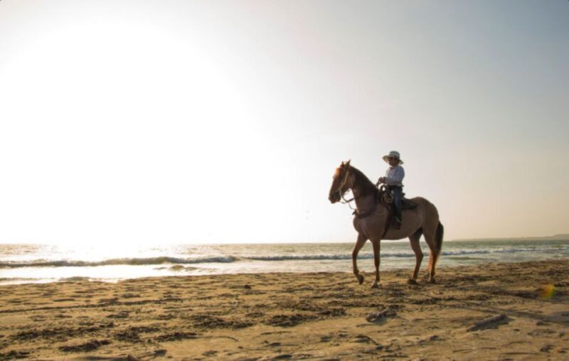 Miami: Beach Horse Ride & Nature Trail - Key Points