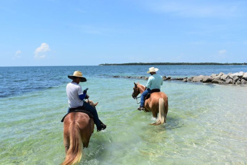 Miami: Beach Horse Ride & Nature Trail - Final Thoughts