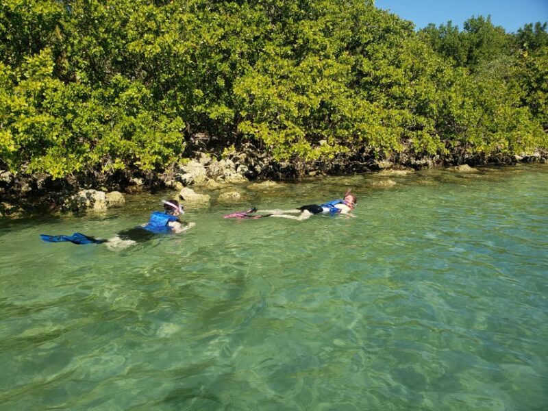 Miami: Beginner-Friendly Island Snorkeling by SUP or Kayak - Key Points