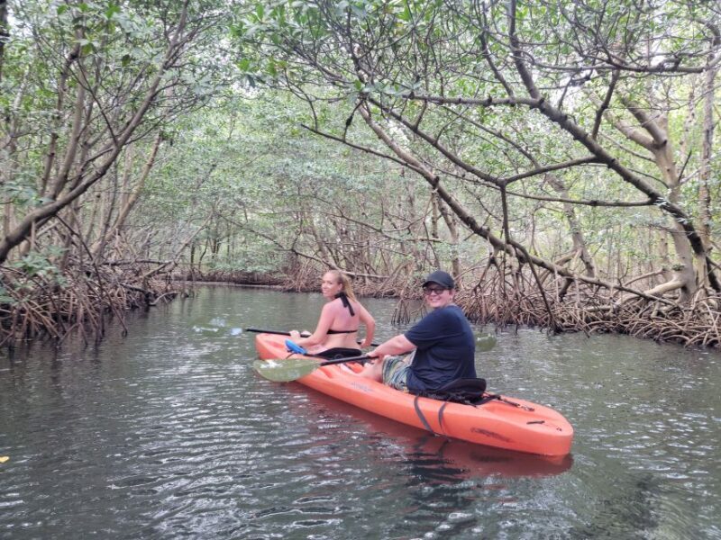 Miami: Beginner-Friendly Island Snorkeling by SUP or Kayak - What’s Truly Special About This Tour?