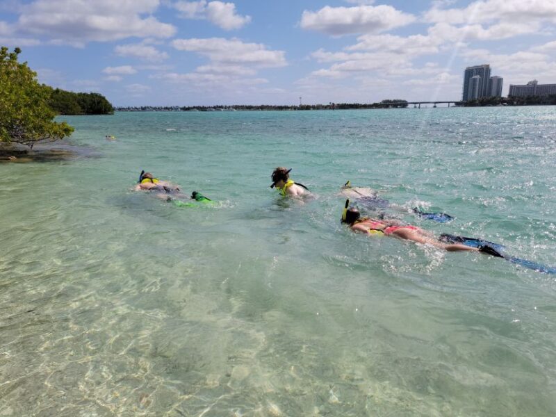 Miami: Beginner-Friendly Island Snorkeling by SUP or Kayak - Who Should Book This Tour?